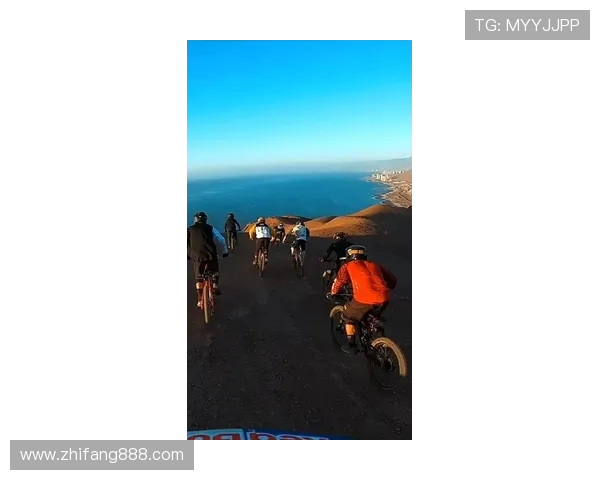 上海极限运动队防守策略解析与热点动态探讨