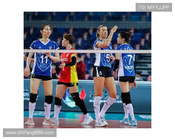 上海排球队荣登排球耐力排行榜第一名引发热议