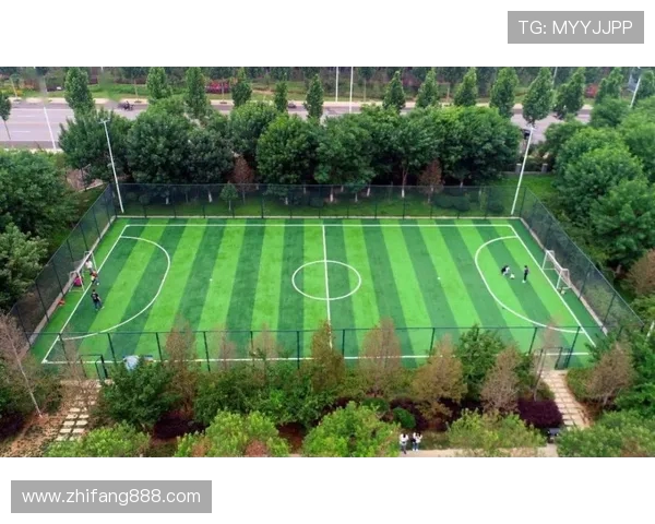 重磅专题:西安篮球队如何实现阵地战战术的创新与突破 重磅专题:西安篮球队如何实现阵地战战术的创新与突破