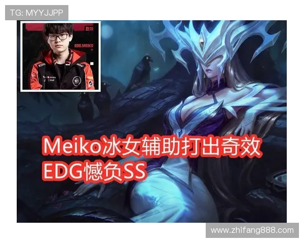 以Meiko为核心的辅助玩法解析及操作技巧提升指南 以Meiko为核心的辅助玩法解析及操作技巧提升指南