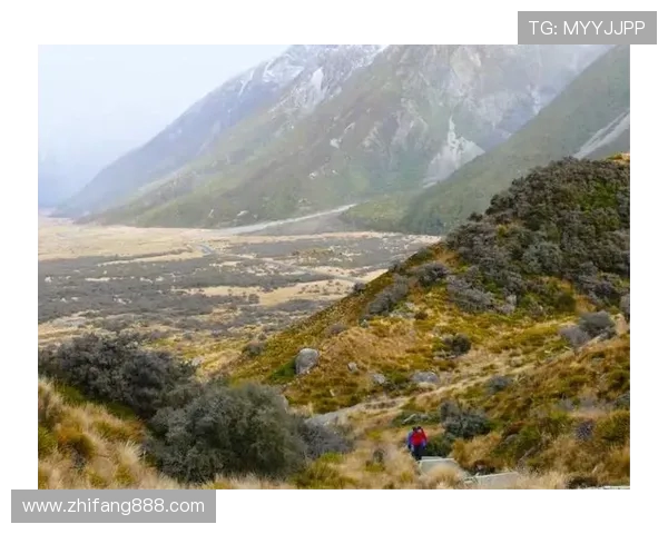 太阳与勇士精彩对决录像回放分析4月6日比赛全景解读