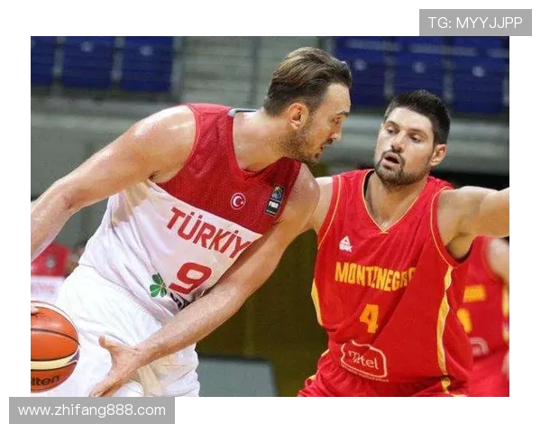 尼古拉武切维奇的艺术旅程与对现代文化的影响探讨 尼古拉武切维奇的艺术旅程与对现代文化的影响探讨